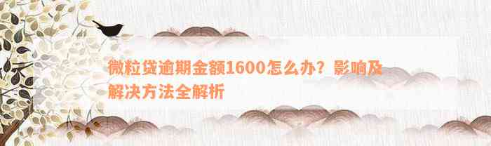 微粒贷逾期金额1600怎么办？影响及解决方法全解析