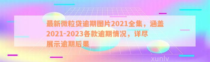 最新微粒贷逾期图片2021全集，涵盖2021-2023各款逾期情况，详尽展示逾期后果