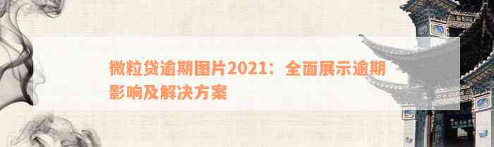 微粒贷逾期图片2021：全面展示逾期影响及解决方案