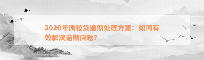 2020年微粒贷逾期处理方案：如何有效解决逾期问题？