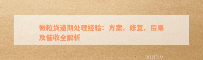 微粒贷逾期处理经验：方案、修复、后果及催收全解析