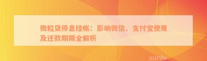 微粒贷停息挂帐：影响微信、支付宝使用及还款期限全解析