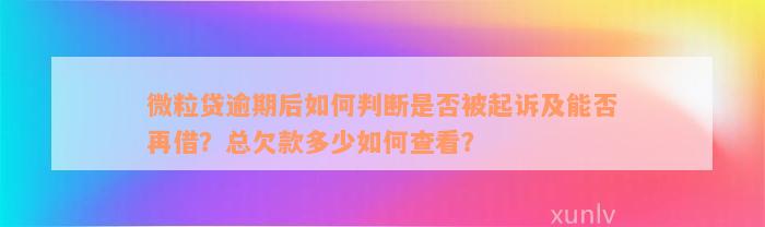 微粒贷逾期后如何判断是否被起诉及能否再借？总欠款多少如何查看？