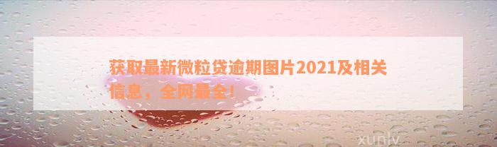 获取最新微粒贷逾期图片2021及相关信息，全网最全！