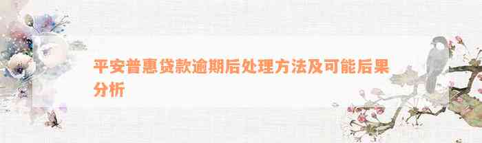 平安普惠贷款逾期后处理方法及可能后果分析