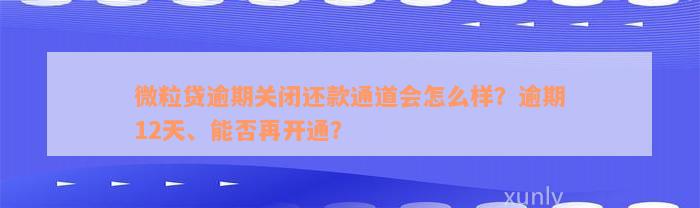 微粒贷逾期关闭还款通道会怎么样？逾期12天、能否再开通？