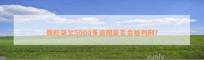 微粒贷欠5000多逾期是否会被判刑？