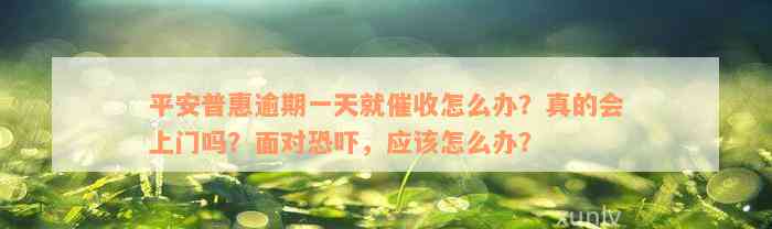 平安普惠逾期一天就催收怎么办？真的会上门吗？面对恐吓，应该怎么办？