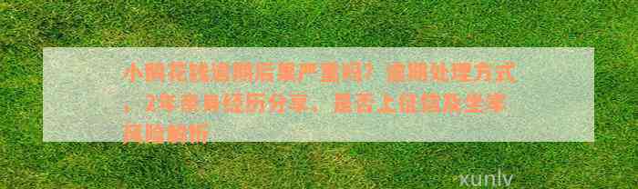 小鹅花钱逾期后果严重吗？逾期处理方式、2年亲身经历分享、是否上征信及坐牢风险解析