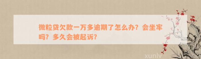 微粒贷欠款一万多逾期了怎么办？会坐牢吗？多久会被起诉？