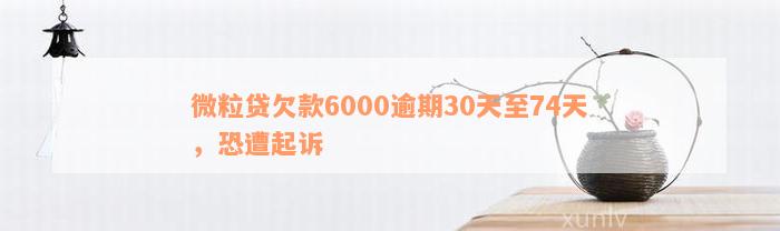 微粒贷欠款6000逾期30天至74天，恐遭起诉