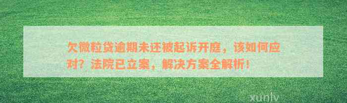 欠微粒贷逾期未还被起诉开庭，该如何应对？法院已立案，解决方案全解析！