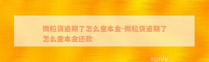 微粒贷逾期了怎么查本金-微粒贷逾期了怎么查本金还款