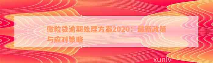 微粒贷逾期处理方案2020：最新政策与应对策略