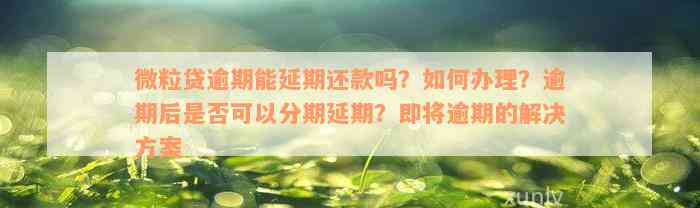 微粒贷逾期能延期还款吗？如何办理？逾期后是否可以分期延期？即将逾期的解决方案