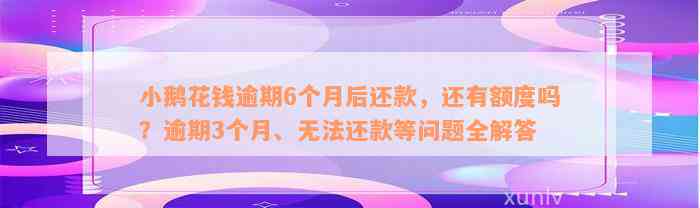 小鹅花钱逾期6个月后还款，还有额度吗？逾期3个月、无法还款等问题全解答