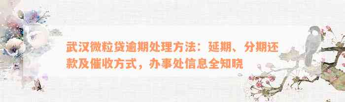 武汉微粒贷逾期处理方法：延期、分期还款及催收方式，办事处信息全知晓