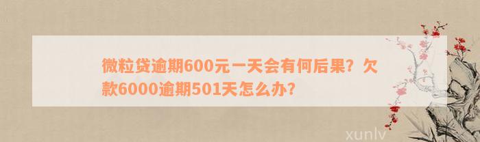 微粒贷逾期600元一天会有何后果？欠款6000逾期501天怎么办？