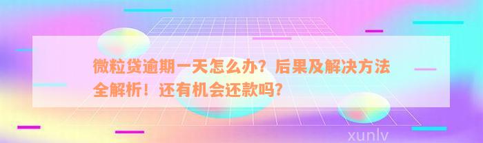 微粒贷逾期一天怎么办？后果及解决方法全解析！还有机会还款吗？