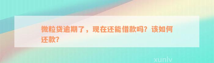 微粒贷逾期了，现在还能借款吗？该如何还款？