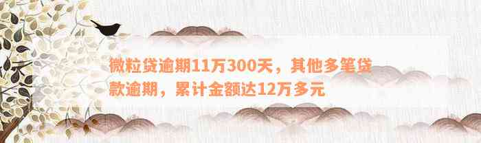 微粒贷逾期11万300天，其他多笔贷款逾期，累计金额达12万多元