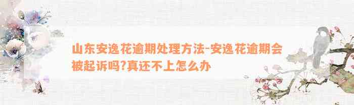 山东安逸花逾期处理方法-安逸花逾期会被起诉吗?真还不上怎么办