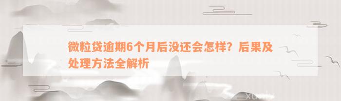 微粒贷逾期6个月后没还会怎样？后果及处理方法全解析