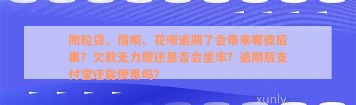 微粒贷、借呗、花呗逾期了会带来哪些后果？欠款无力偿还是否会坐牢？逾期后支付宝还能使用吗？