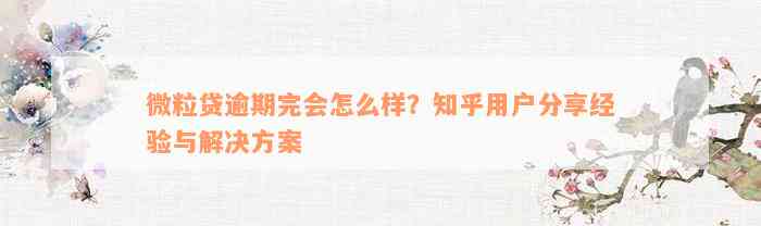 微粒贷逾期完会怎么样？知乎用户分享经验与解决方案