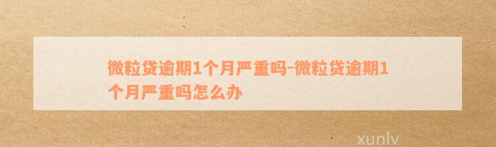 微粒贷逾期1个月严重吗-微粒贷逾期1个月严重吗怎么办