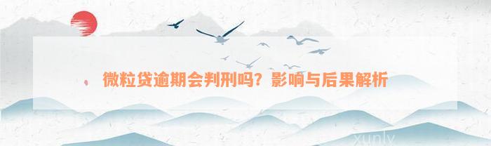 微粒贷逾期会判刑吗？影响与后果解析