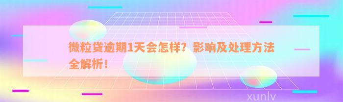 微粒贷逾期1天会怎样？影响及处理方法全解析！