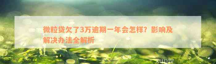 微粒贷欠了3万逾期一年会怎样？影响及解决办法全解析