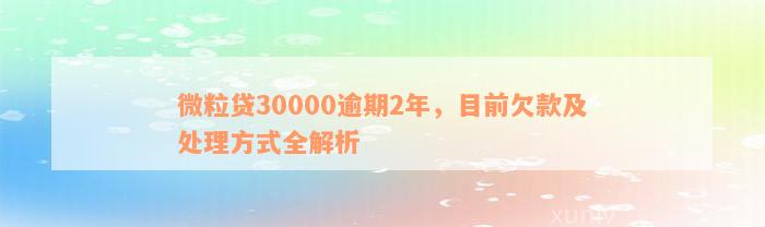 微粒贷30000逾期2年，目前欠款及处理方式全解析