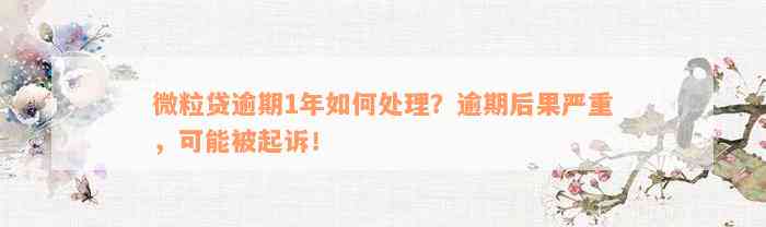 微粒贷逾期1年如何处理？逾期后果严重，可能被起诉！