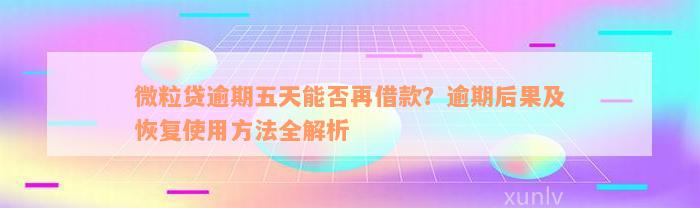 微粒贷逾期五天能否再借款？逾期后果及恢复使用方法全解析