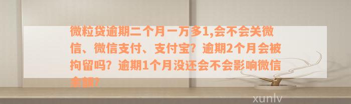 微粒贷逾期二个月一万多1,会不会关微信、微信支付、支付宝？逾期2个月会被拘留吗？逾期1个月没还会不会影响微信余额？