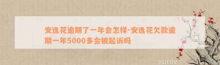 安逸花逾期了一年会怎样-安逸花欠款逾期一年5000多会被起诉吗