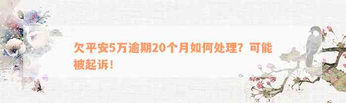 欠平安5万逾期20个月如何处理？可能被起诉！