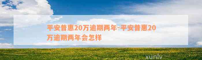 平安普惠20万逾期两年-平安普惠20万逾期两年会怎样