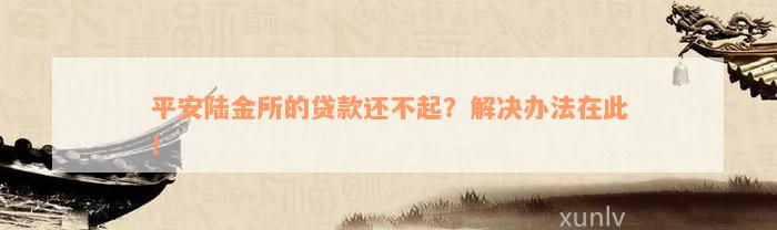 平安陆金所的贷款还不起？解决办法在此！