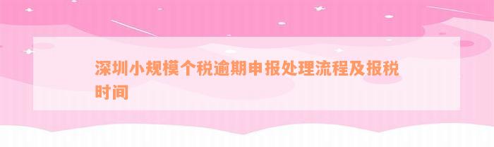 深圳小规模个税逾期申报处理流程及报税时间