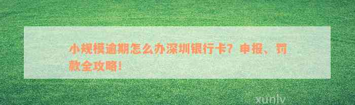 小规模逾期怎么办深圳银行卡？申报、罚款全攻略！