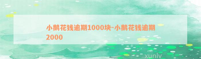 小鹅花钱逾期1000块-小鹅花钱逾期2000