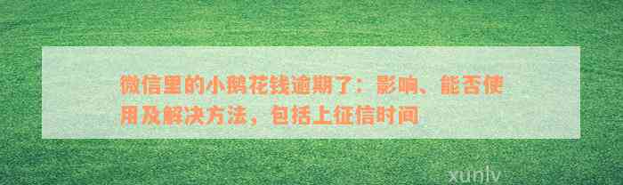 微信里的小鹅花钱逾期了：影响、能否使用及解决方法，包括上征信时间