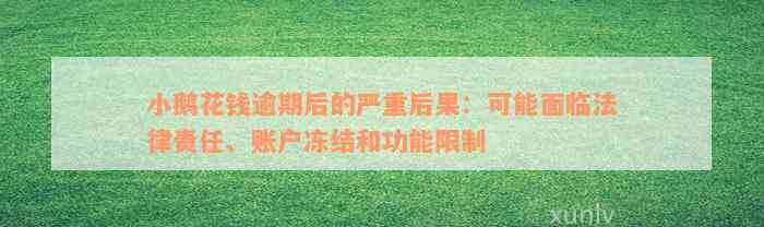 小鹅花钱逾期后的严重后果：可能面临法律责任、账户冻结和功能限制