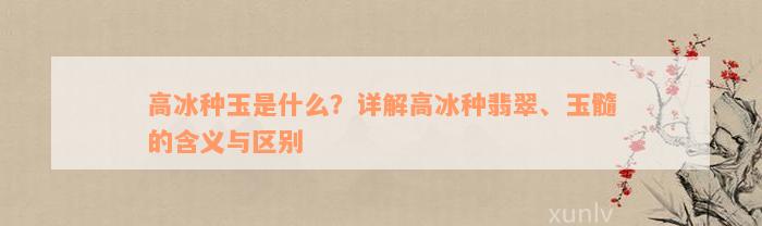 高冰种玉是什么？详解高冰种翡翠、玉髓的含义与区别