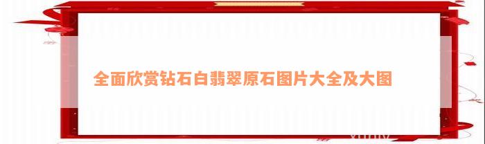 全面欣赏钻石白翡翠原石图片大全及大图