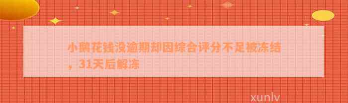 小鹅花钱没逾期却因综合评分不足被冻结，31天后解冻