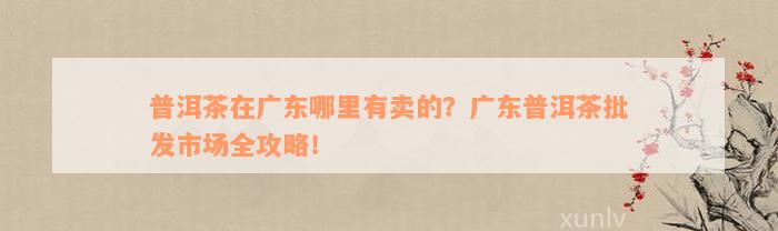 普洱茶在广东哪里有卖的？广东普洱茶批发市场全攻略！